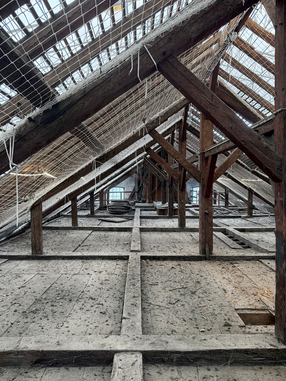COMBLES APRES DETUILAGE / MAI 2026
