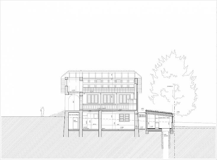 Coupe longitudinale. Provenance Atelier Féroé